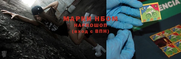 трава Белокуриха