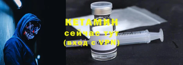 трава Белокуриха
