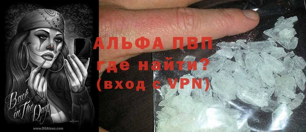 трава Белокуриха
