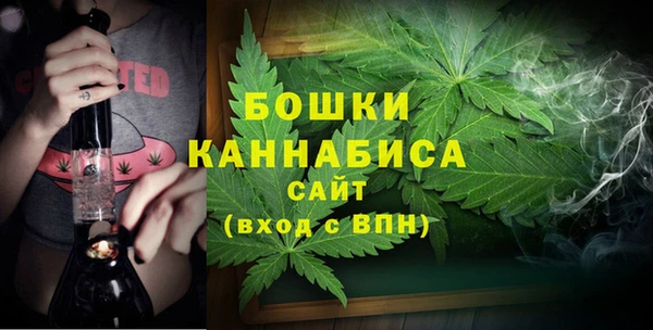 трава Белокуриха
