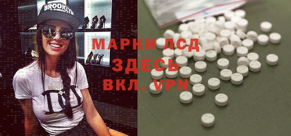 трава Белокуриха
