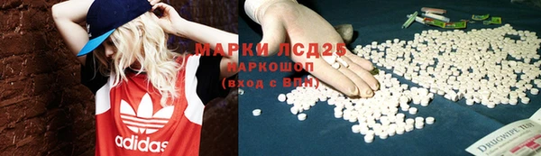 трава Белокуриха