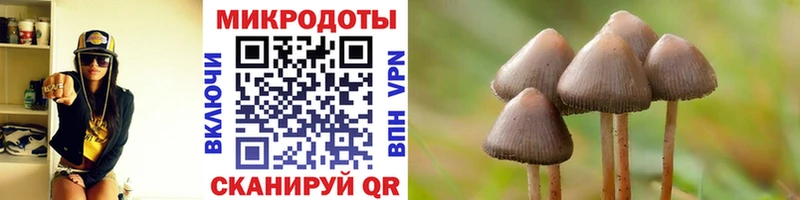 Псилоцибиновые грибы мухоморы  Афипский 